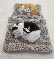 "Кошка с котенком" во Губахе